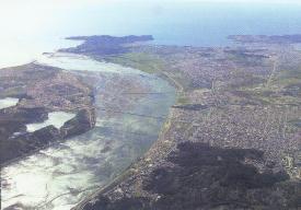 Nuevo Puente Industrial sobre Río Bio Bio - (Construcción)